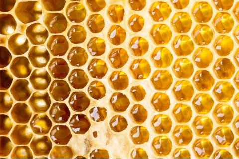اكتشفي فوائد العسل المذهلة الصحية والجمالية